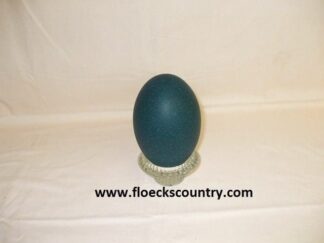 Dark green emu eggshell.