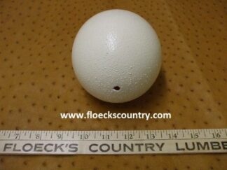 Bargain empty Ostrich Eggshell.