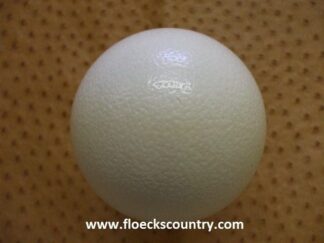 Super Jumbo Empty Ostrich Eggshell